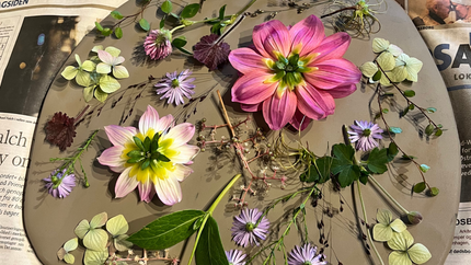 Bag kunstneren: Ellen lader naturen sætte sit aftryk