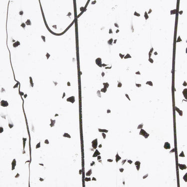 Bullseye 4200-0000 Black Frit, Black Streamers Clear Base Collage, 3 mm – 1/2 plade