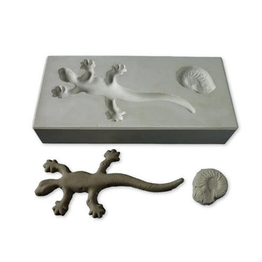 Gipsform Gekko + Ammonit