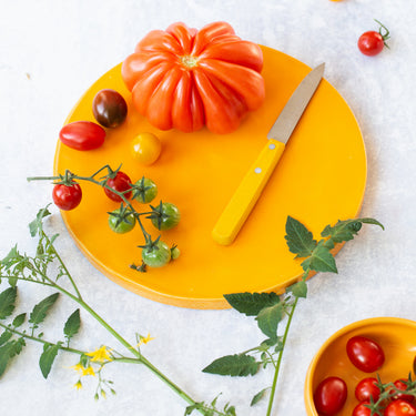 Botz Pro 9308 Carnelian Yellow