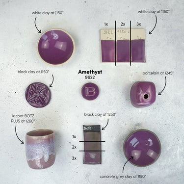 Botz Pro 9622 Amethyst