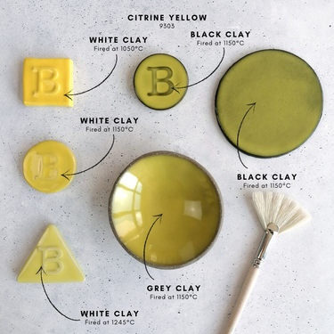 Botz Pro 9303 Citrine Yellow