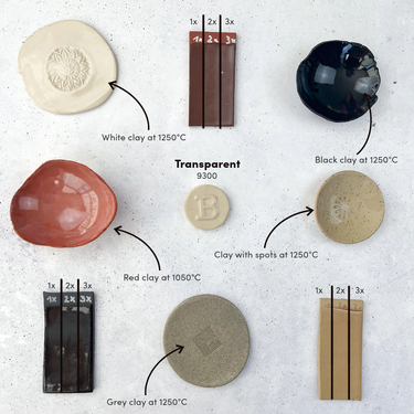 Botz Pro 9300 Transparent