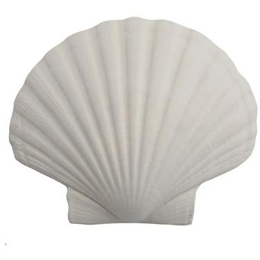 Støbeform - Muslingeskal, Ø 13 cm